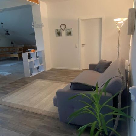 Penthouse N74 Linz 120 Qm Kids Welcome! Eksteriør bilde