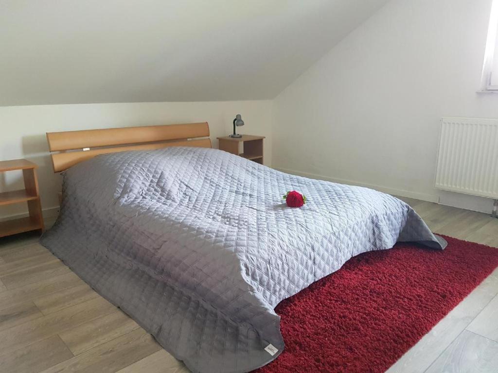 Penthouse N74 Linz 120 Qm Kids Welcome! Eksteriør bilde