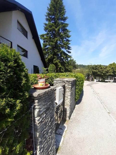 Penthouse N74 Linz 120 Qm Kids Welcome! Eksteriør bilde