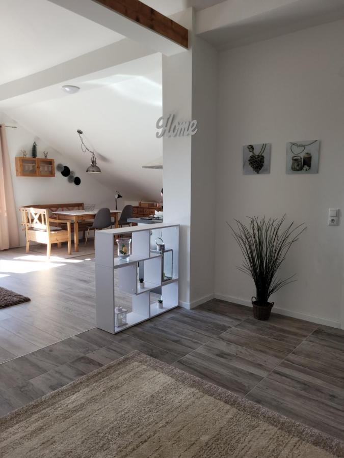 Penthouse N74 Linz 120 Qm Kids Welcome! Eksteriør bilde